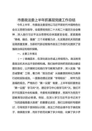 市委政法委上半年抓基层党建工作总结