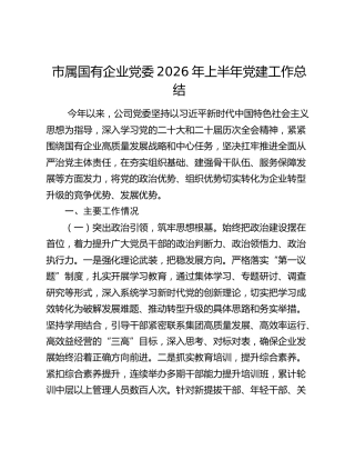 市属国有企业党委2026年上半年党建工作总结