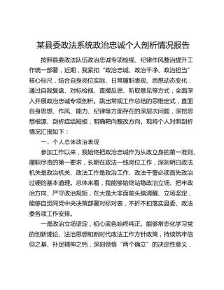 某县委政法系统政治忠诚个人剖析情况报告