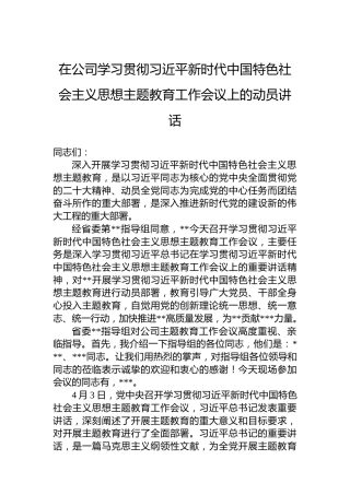 在公司学习贯彻习近平新时代中国特色社会主义思想主题教育工作会议上的动员讲话