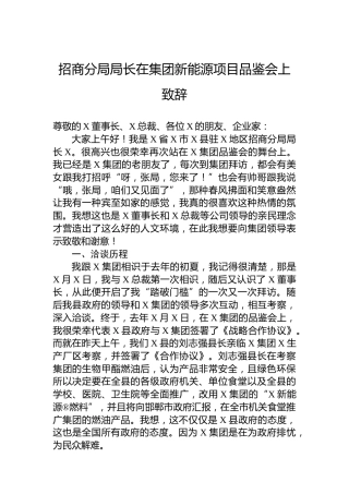 招商分局局长在集团新能源项目品鉴会上致辞