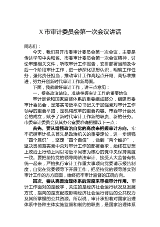 X市审计委员会第一次会议讲话