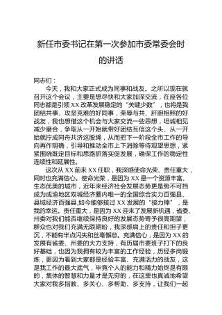 新任市委书记在第一次参加市委常委会时的讲话