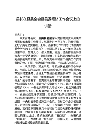 县长在县委全会暨县委经济工作会议上的讲话