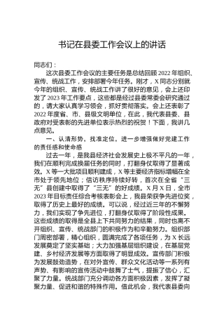 书记在县委工作会议上的讲话