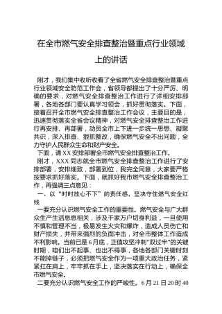 在全市燃气安全排查整治暨重点行业领域上的讲话