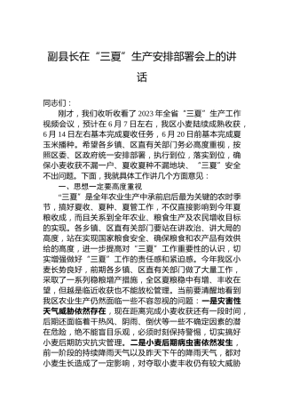 副县长在“三夏”生产安排部署会上的讲话