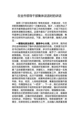 在全市领导干部集体谈话时的讲话