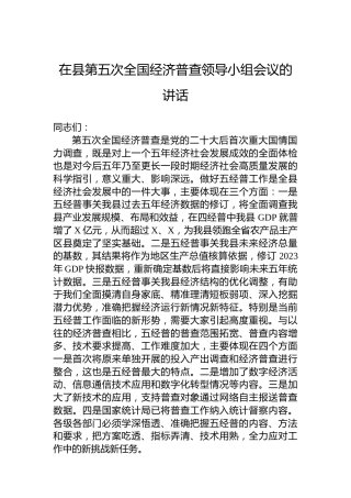 在县第五次全国经济普查领导小组会议的讲话
