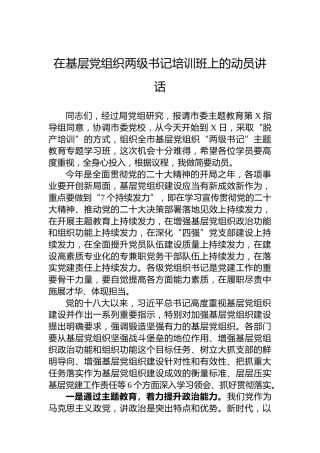 在基层党组织两级书记培训班上的动员讲话