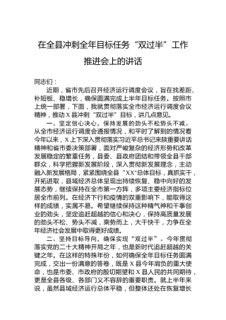在全县冲刺全年目标任务“双过半”工作推进会上的讲话