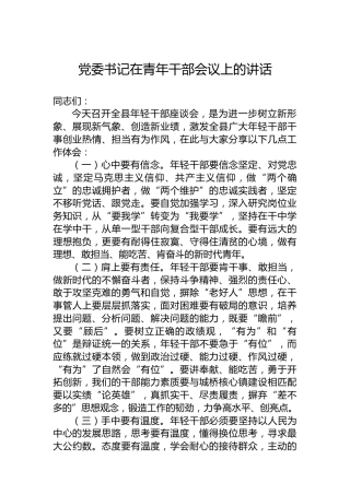 党委书记在青年干部会议上的讲话