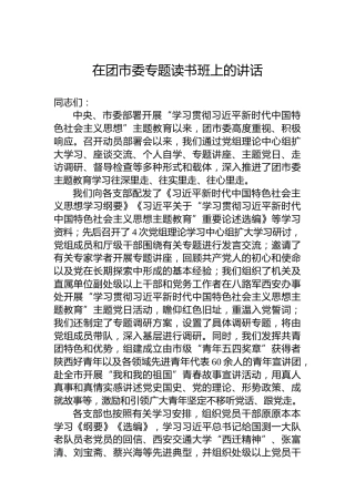 在团市委专题读书班上的讲话
