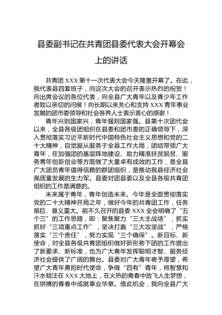 县委副书记在共青团县委代表大会开幕会上的讲话
