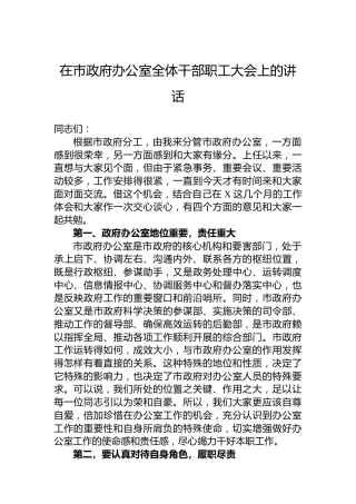 在市政府办公室全体干部职工大会上的讲话
