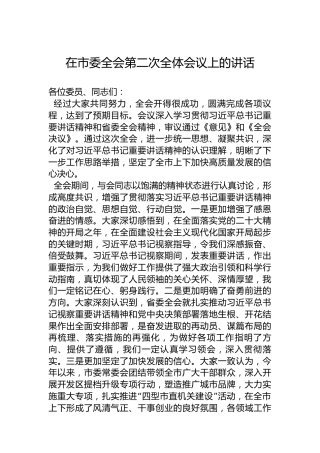 在市委全会第二次全体会议上的讲话