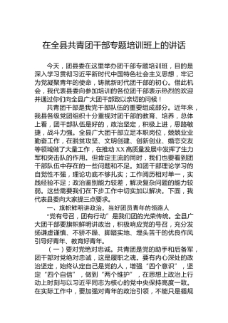 在全县共青团干部专题培训班上的讲话