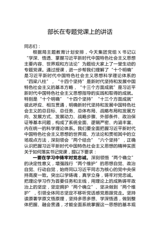 部长在专题党课上的讲话