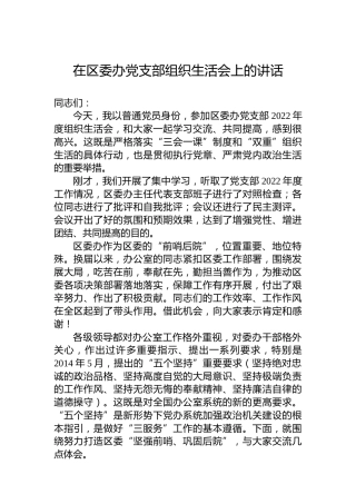 在区委办党支部组织生活会上的讲话