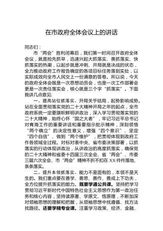 在市政府全体会议上的讲话1