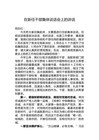 在新任干部集体谈话会上的讲话1