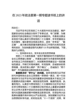 在2023年政法委第一期专题读书班上的讲话