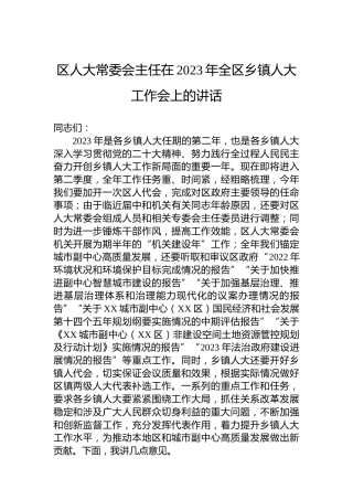 区人大常委会主任在2023年全区乡镇人大工作会上的讲话