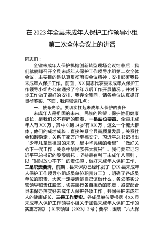 在2023年全县未成年人保护工作领导小组第二次全体会议上的讲话