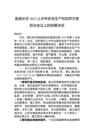 副县长在2023上半年安全生产和自然灾害防治会议上的部署讲话