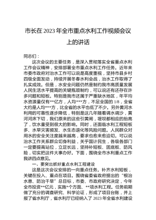 市长在2023年全市重点水利工作视频会议上的讲话