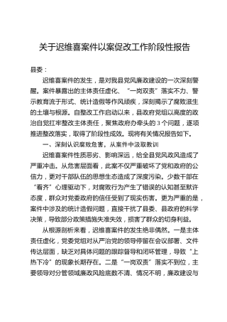 关于迟维喜案件以案促改工作阶段性报告