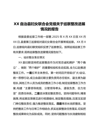 XX自治县妇女联合会党组关于巡察整改进展情况的报告