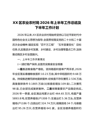 XX区农业农村局2026年上半年工作总结及下半年工作计划