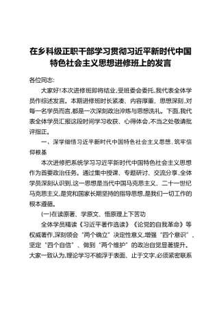 在乡科级正职干部学习贯彻习近平新时代中国特色社会主义思想进修班上的发言