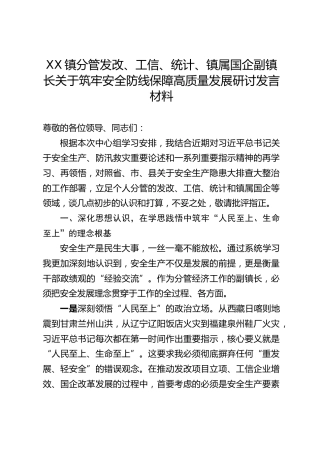 XX镇分管发改、工信、统计、镇属国企副镇长关于筑牢安全防线保障高质量发展研讨发言材料