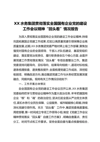 XX水务集团贯彻落实全国国有企业党的建设工作会议精神“回头看”情况报告