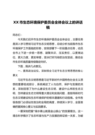XX市生态环境保护委员会全体会议上的讲话稿