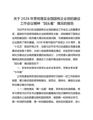 贯彻落实全国国有企业党的建设工作会议精神“回头看”情况十周年总结报告（国企党建回头看）