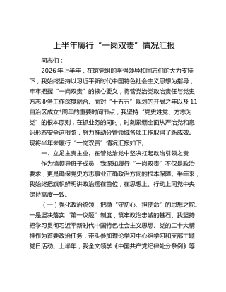 2026年上半年履行“一岗双责”情况总结报告