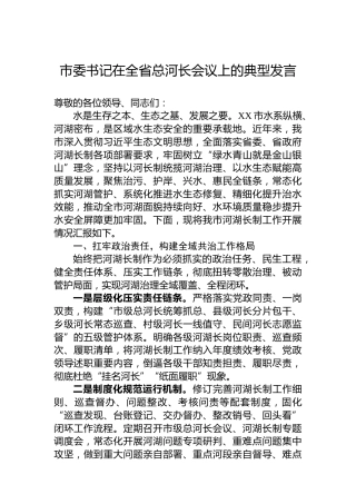 市委书记在全省总河长会议上的典型发言