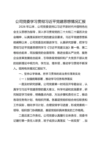 2026公司党委学习贯彻习近平党建思想情况汇报