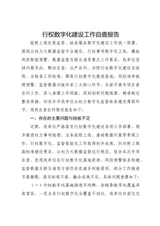 行权数字化建设工作自查报告