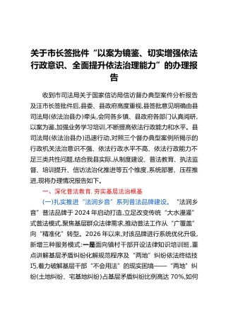 关于市长签批件“以案为镜鉴、切实增强依法行政意识、全面提升依法治理能力”的办理报告