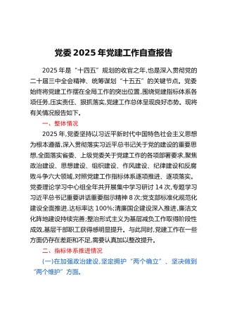 党委2025年党建工作自查报告