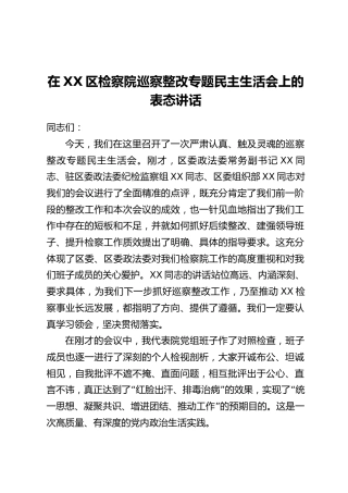 在XX区检察院巡察整改专题民主生活会上的表态讲话