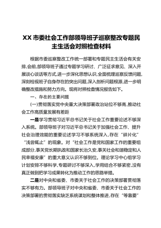 XX市委社会工作部领导班子巡察整改专题民主生活会对照检查材料