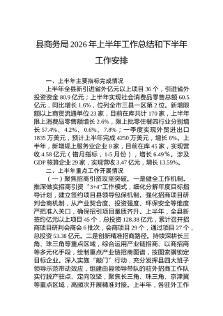 县商务局2026年上半年工作总结和下半年工作安排