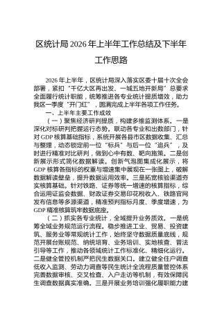 区统计局2026年上半年工作总结及下半年工作思路