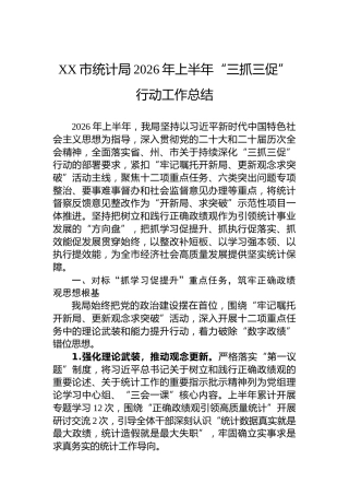 XX市统计局2026年上半年“三抓三促”行动工作总结