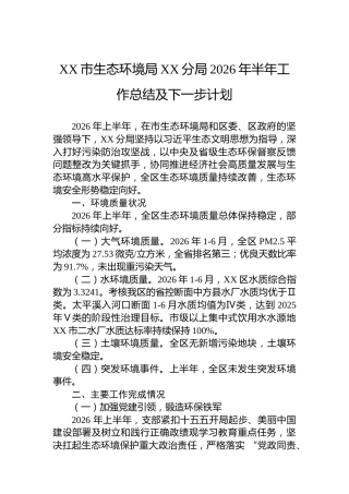 XX市生态环境局XX分局2026年半年工作总结及下一步计划
